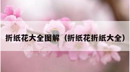 折纸花大全图解（折纸花折纸大全）