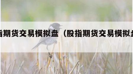股指期货交易模拟盘（股指期货交易模拟盘大赛）