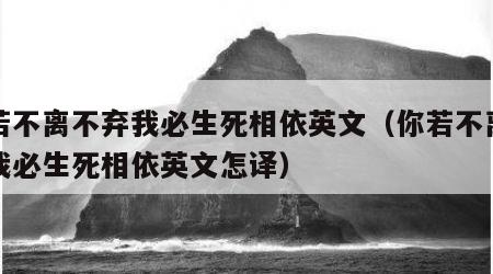 你若不离不弃我必生死相依英文（你若不离不弃我必生死相依英文怎译）