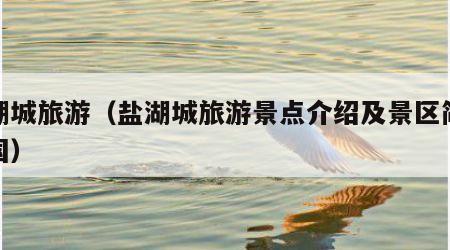 盐湖城旅游（盐湖城旅游景点介绍及景区简介美国）