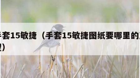 手套15敏捷（手套15敏捷图纸要哪里的声望）