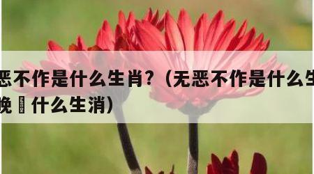 无恶不作是什么生肖?（无恶不作是什么生肖今晚幵什么生消）