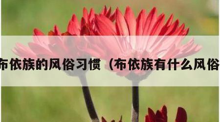布依族的风俗习惯（布依族有什么风俗）