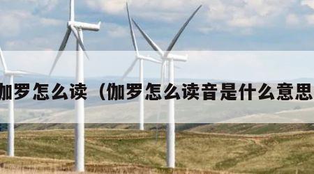 伽罗怎么读（伽罗怎么读音是什么意思）