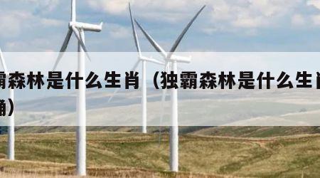 独霸森林是什么生肖（独霸森林是什么生肖最准确）
