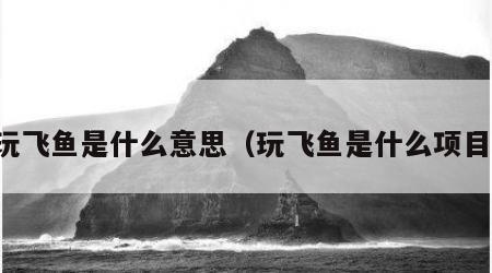 玩飞鱼是什么意思（玩飞鱼是什么项目）