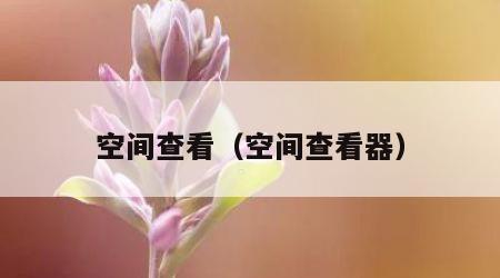 空间查看（空间查看器）