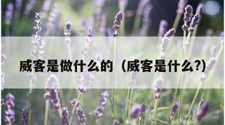 威客是做什么的（威客是什么?）