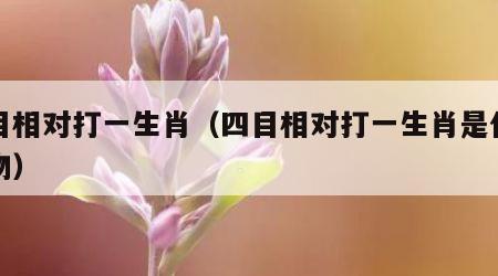 四目相对打一生肖（四目相对打一生肖是什么动物）