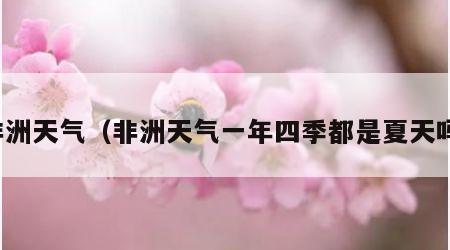 非洲天气（非洲天气一年四季都是夏天吗）