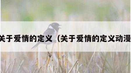 关于爱情的定义（关于爱情的定义动漫）