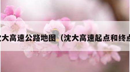 沈大高速公路地图（沈大高速起点和终点）