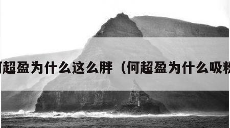 何超盈为什么这么胖（何超盈为什么吸粉）