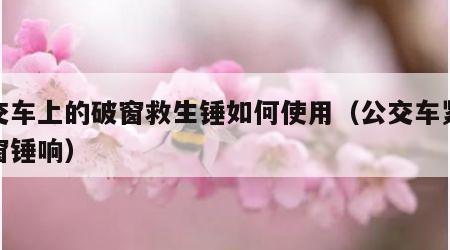 公交车上的破窗救生锤如何使用（公交车紧急破窗锤响）
