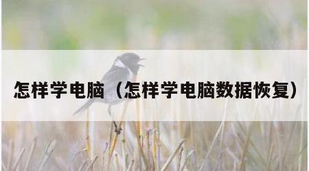 怎样学电脑（怎样学电脑数据恢复）