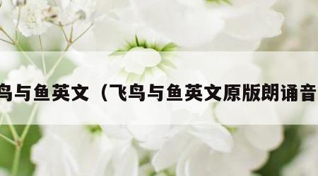 飞鸟与鱼英文（飞鸟与鱼英文原版朗诵音频）