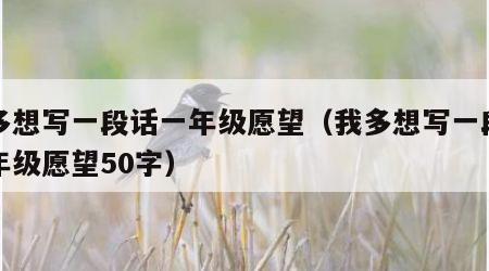 我多想写一段话一年级愿望（我多想写一段话一年级愿望50字）