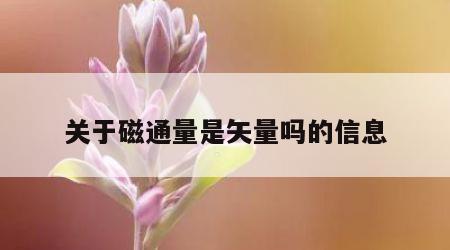 关于磁通量是矢量吗的信息