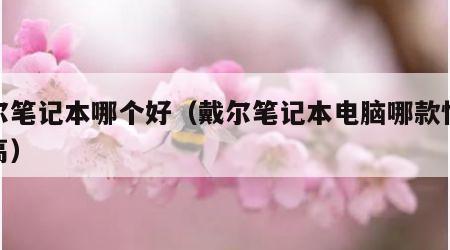戴尔笔记本哪个好（戴尔笔记本电脑哪款性价比高）