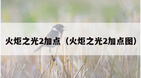 火炬之光2加点（火炬之光2加点图）