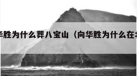 向华胜为什么葬八宝山（向华胜为什么在北京）