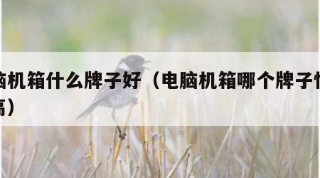 电脑机箱什么牌子好（电脑机箱哪个牌子性价比高）