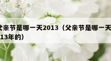父亲节是哪一天2013（父亲节是哪一天2013年的）