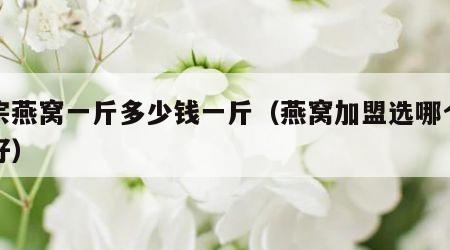 正宗燕窝一斤多少钱一斤（燕窝加盟选哪个品牌好）