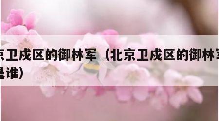 北京卫戍区的御林军（北京卫戍区的御林军司令是谁）