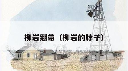 柳岩绷带（柳岩的脖子）