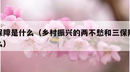 三保障是什么（乡村振兴的两不愁和三保障是什么）