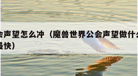 公会声望怎么冲（魔兽世界公会声望做什么任务最快）