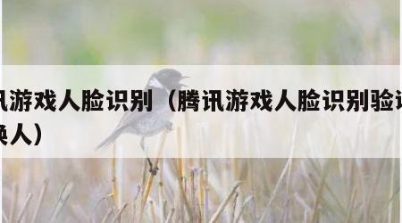 腾讯游戏人脸识别（腾讯游戏人脸识别验证怎么换人）