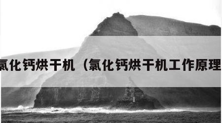 氯化钙烘干机（氯化钙烘干机工作原理）
