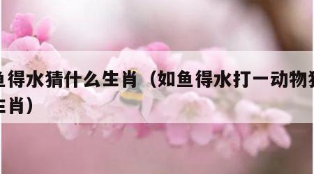 如鱼得水猜什么生肖（如鱼得水打一动物猜最佳生肖）