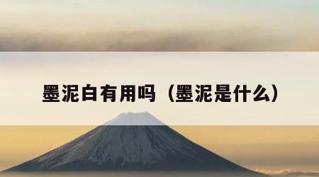 墨泥白有用吗（墨泥是什么）