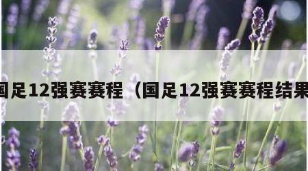 国足12强赛赛程（国足12强赛赛程结果）