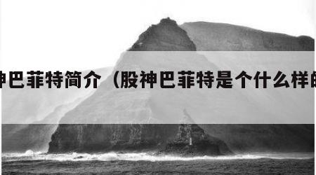 股神巴菲特简介（股神巴菲特是个什么样的人）