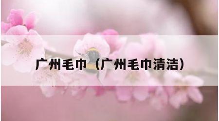 广州毛巾（广州毛巾清洁）