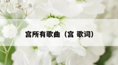 宫所有歌曲（宫 歌词）