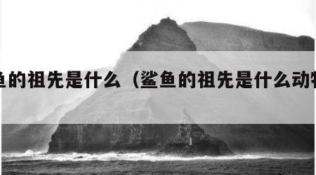 鲨鱼的祖先是什么（鲨鱼的祖先是什么动物视频）