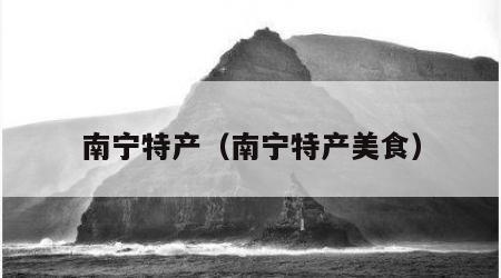 南宁特产（南宁特产美食）