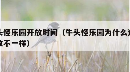 牛头怪乐园开放时间（牛头怪乐园为什么进入次数不一样）