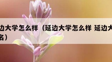 延边大学怎么样（延边大学怎么样 延边大学排名）