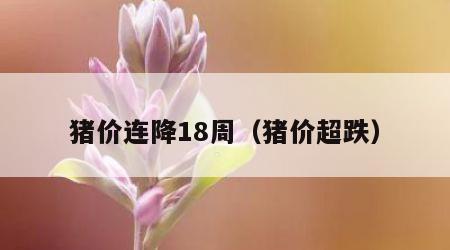 猪价连降18周（猪价超跌）