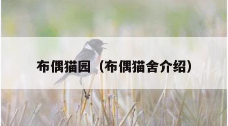 布偶猫园（布偶猫舍介绍）