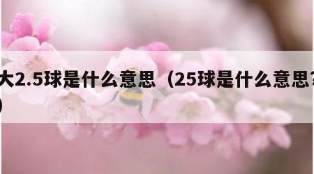 大2.5球是什么意思（25球是什么意思?）