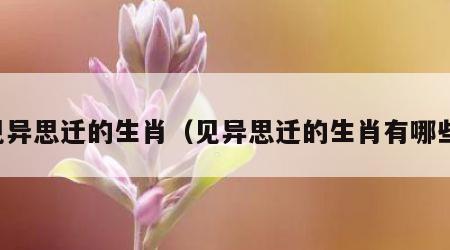 见异思迁的生肖（见异思迁的生肖有哪些）
