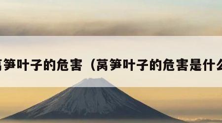 莴笋叶子的危害（莴笋叶子的危害是什么）