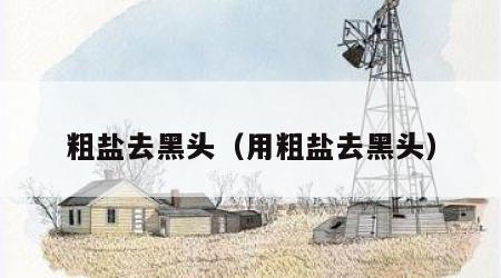 粗盐去黑头（用粗盐去黑头）